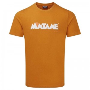 Montane Lichtgewicht Heritage T-shirts Heren Geel | AAE8868AR