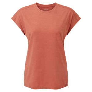 Montane Mira T-shirts Dames Grijs Oranje | PLG392JW